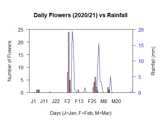 Flowers vs Rainfall